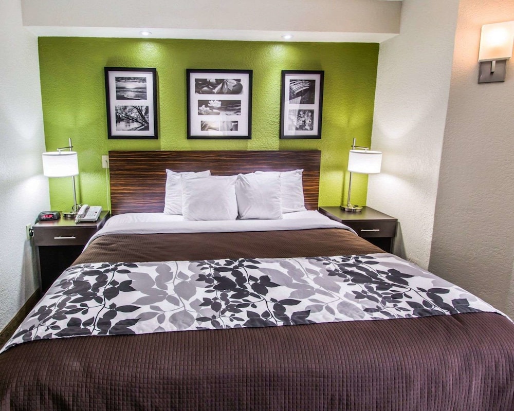 Room, 1 King Bed, Non Smoking (Promotional) - Photo 2