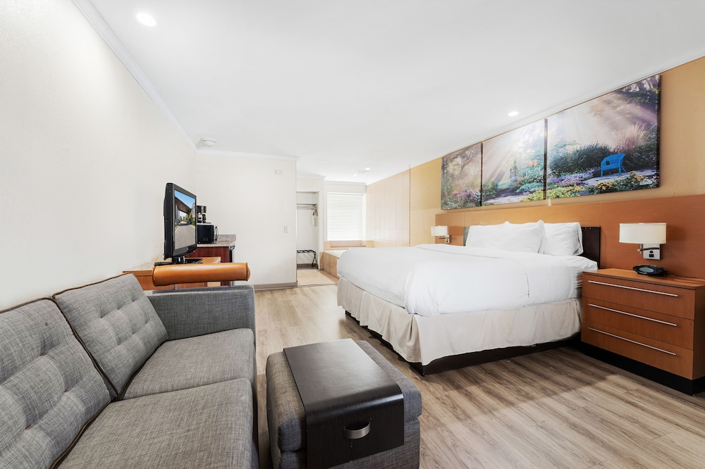 Studio Suite, 1 King Bed, Non Smoking, Pool View