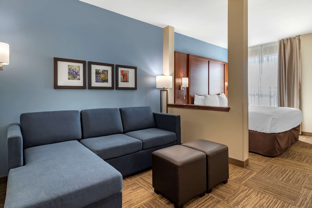 Suite, 1 King Bed with Sofa bed, Non Smoking (Wet Bar) - Photo 6