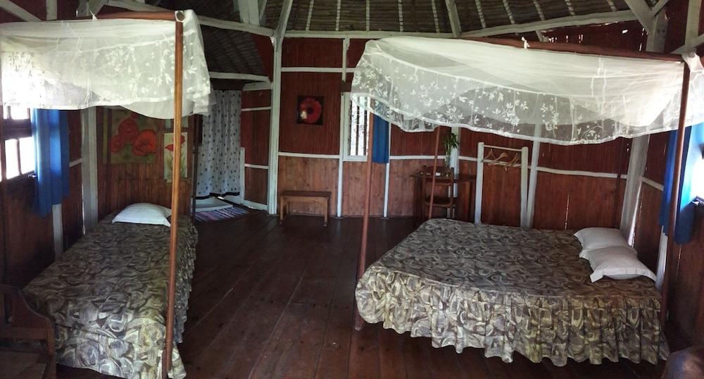 Basic Room photo 1