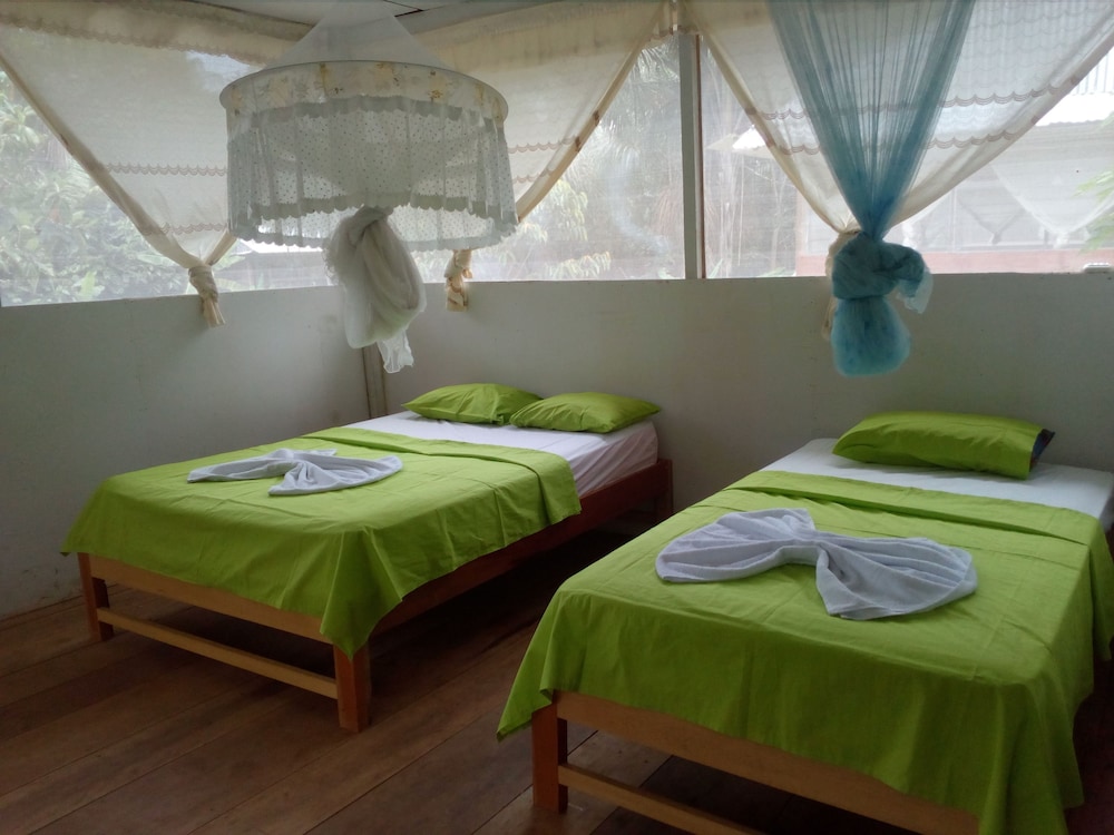 Twin Room photo 2
