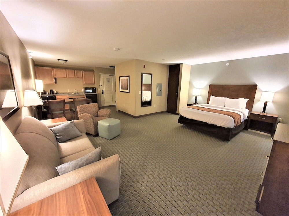 Elite Studio Suite photo 1
