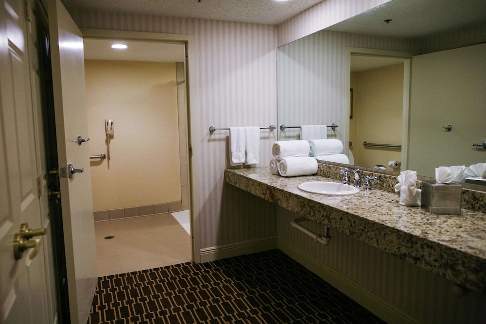 Suite, 1 King Bed, Accessible - Photo 4