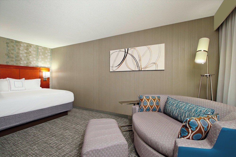 Room, 1 King Bed with Sofa bed (Mobility Accessible, Roll-In Shower) photo 3