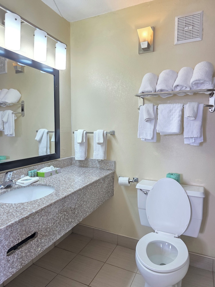 Premium Suite, Multiple Beds, Ensuite photo 3