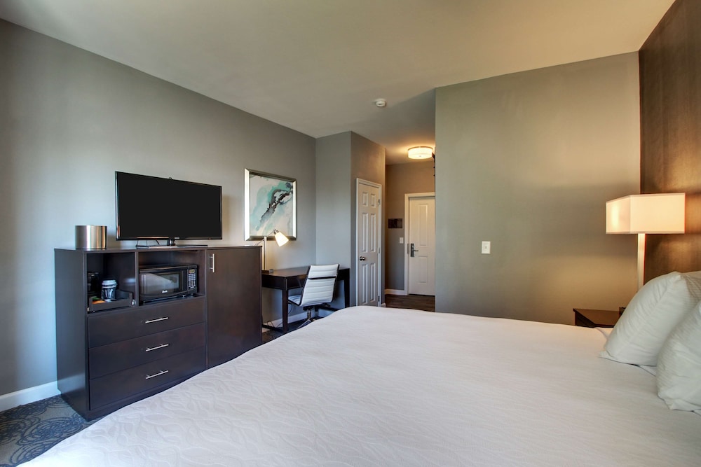 Standard Room, 1 King Bed, Non Smoking, Refrigerator & Microwave - Photo 3