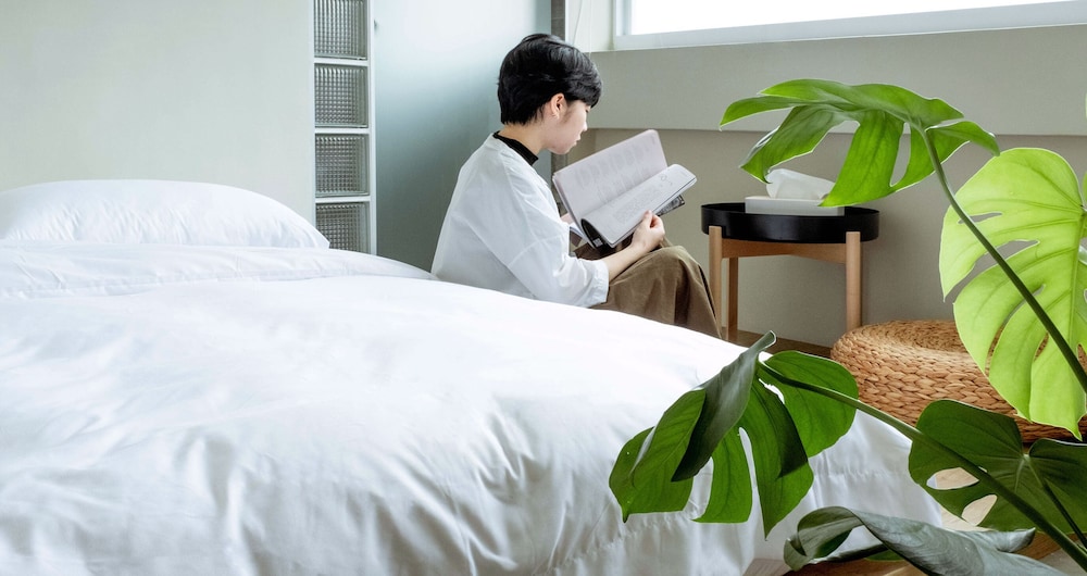 Standard Double Room - Photo 1
