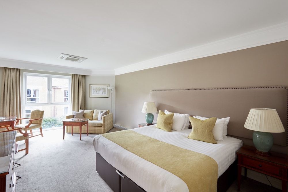 Deluxe King (1 King bed) photo 1
