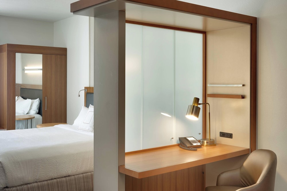 Suite, 1 Bedroom photo 3