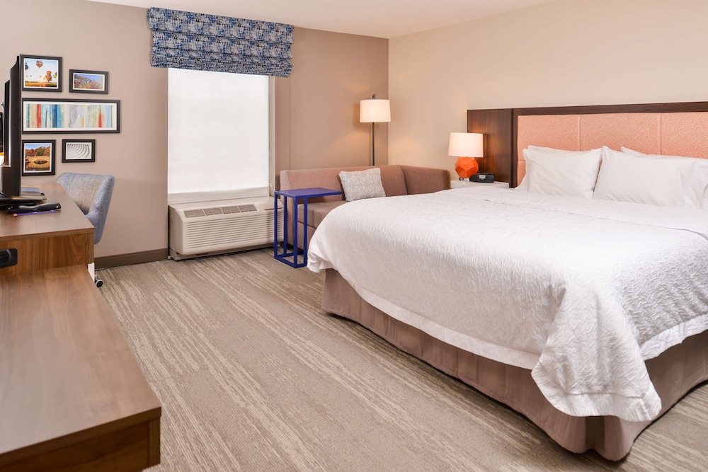 Room, 1 King Bed, Accessible, Non Smoking photo 1