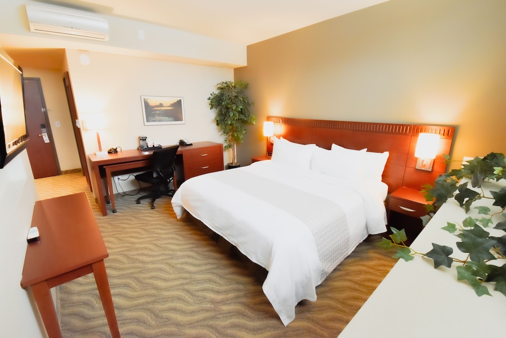 Deluxe Room, 1 King Bed photo 3