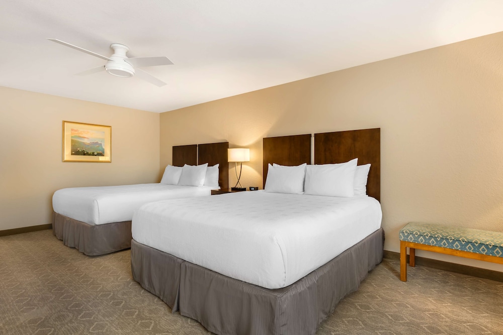 Standard Room, Multiple Beds, Non Smoking, Refrigerator (Larger Room) photo 2