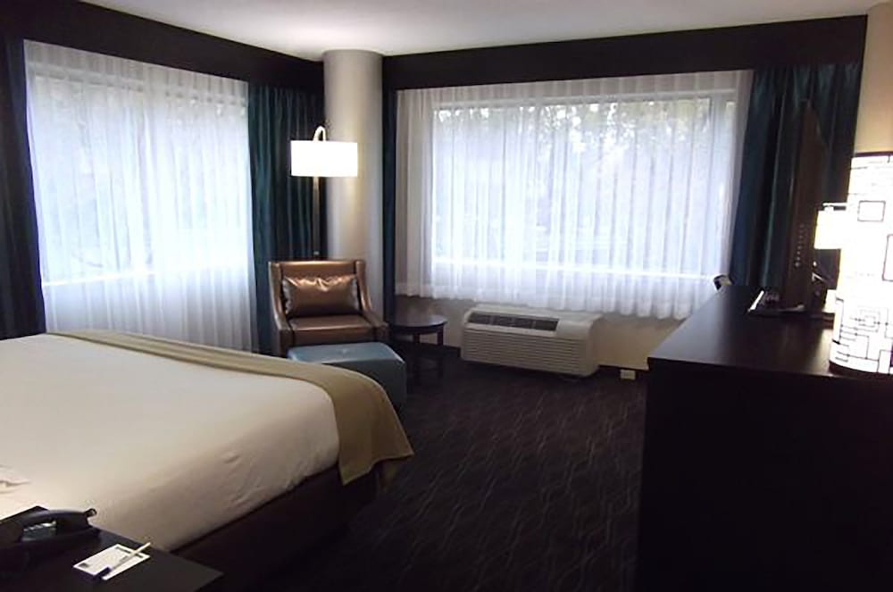 Premium Room, 1 King Bed, Corner - Photo 2