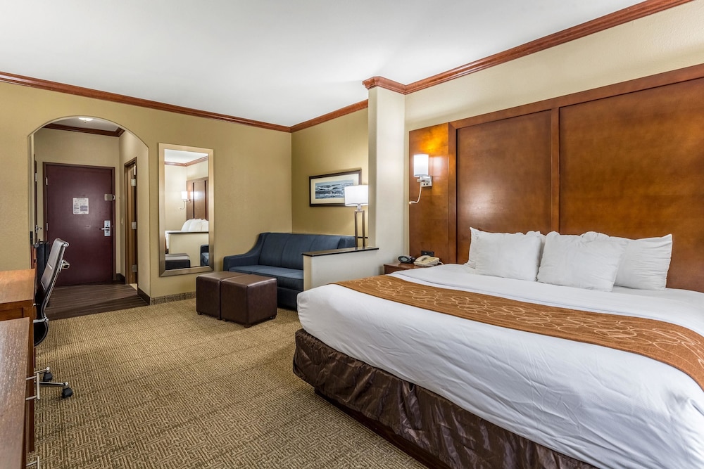 Standard Suite, 1 King Bed, Non Smoking photo 2