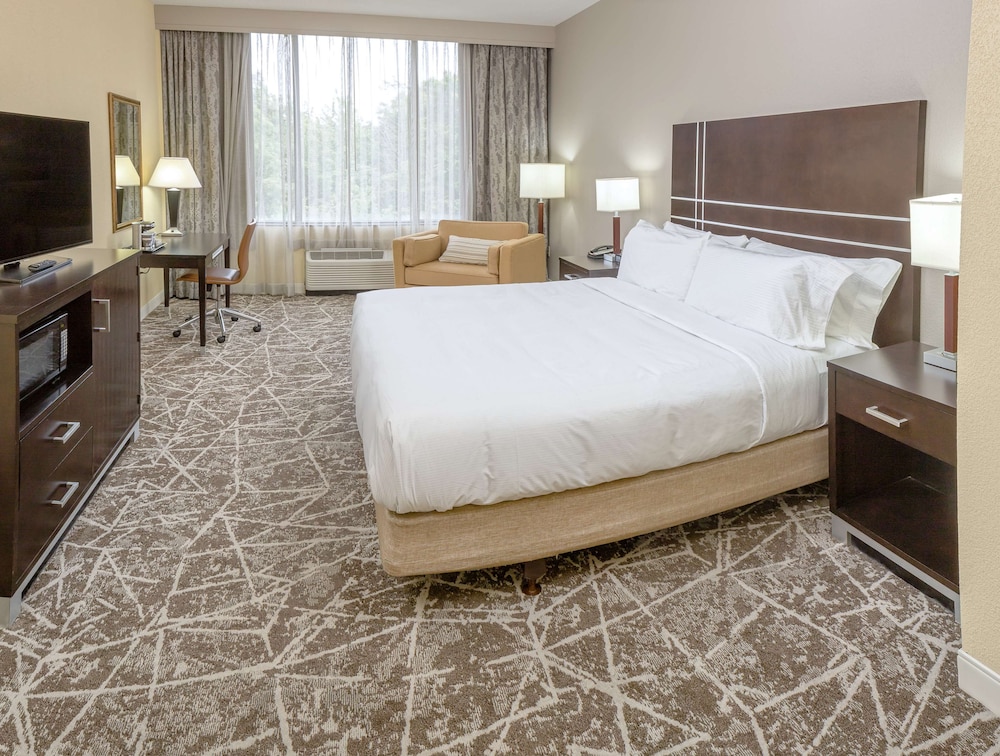 Room, 1 King Bed, Accessible - Photo 3