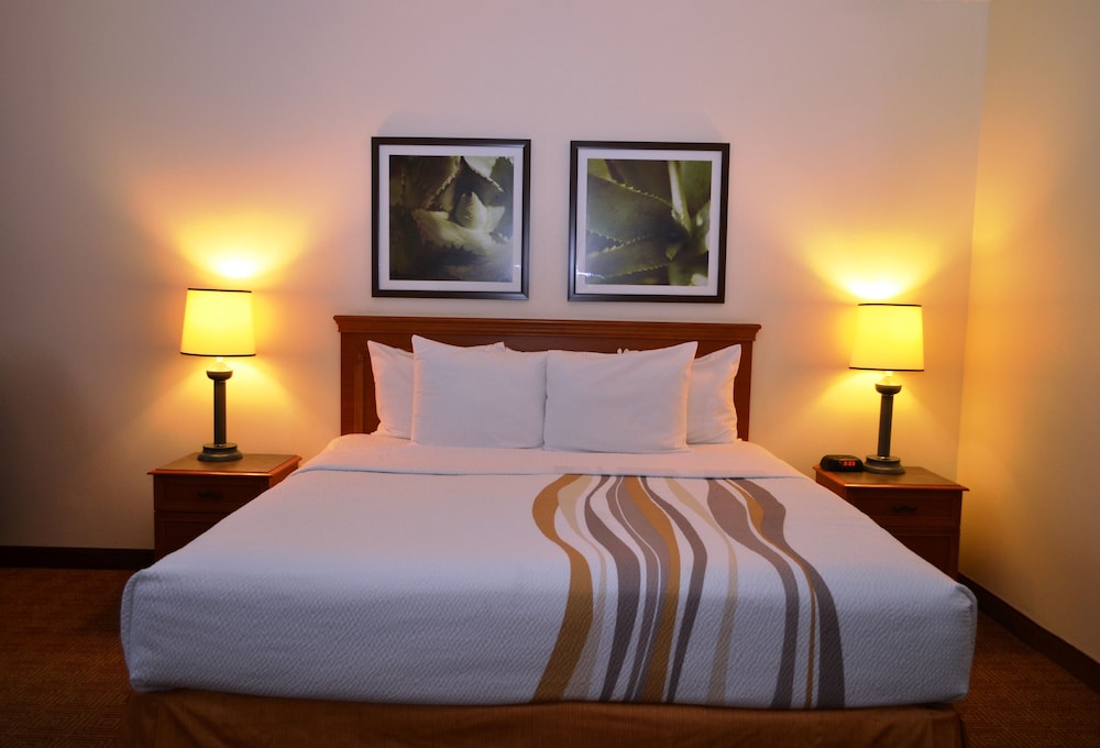 Deluxe Suite, 1 King Bed, Non Smoking - Photo 2