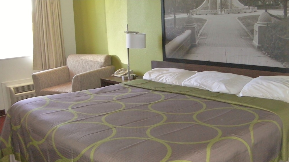 Room, 1 King Bed, Accessible photo 1