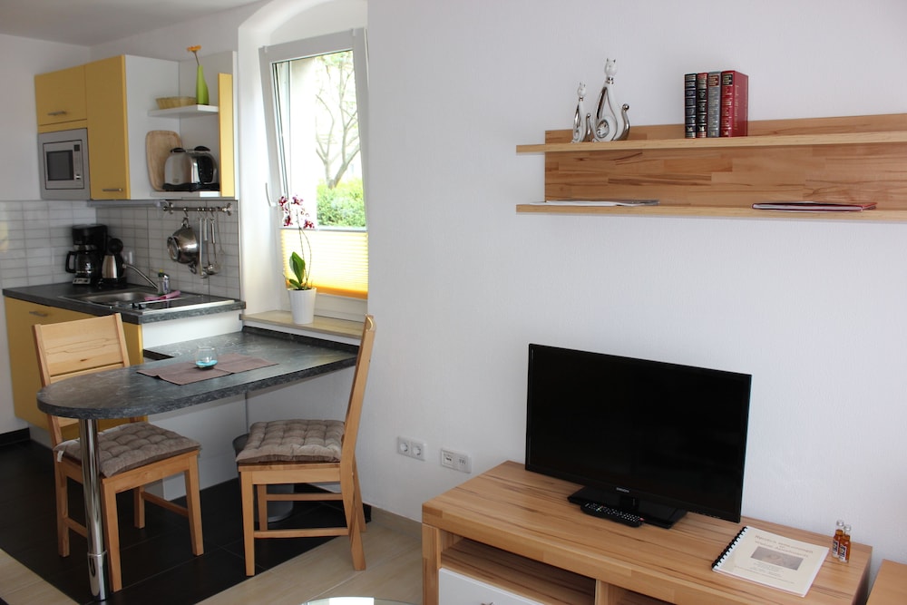 Deluxe Apartment, 1 Bedroom, Non Smoking, Kitchenette (Pillnitz) photo 3