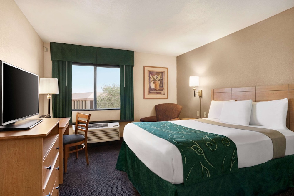 Room, 1 King Bed, Non Smoking photo 3