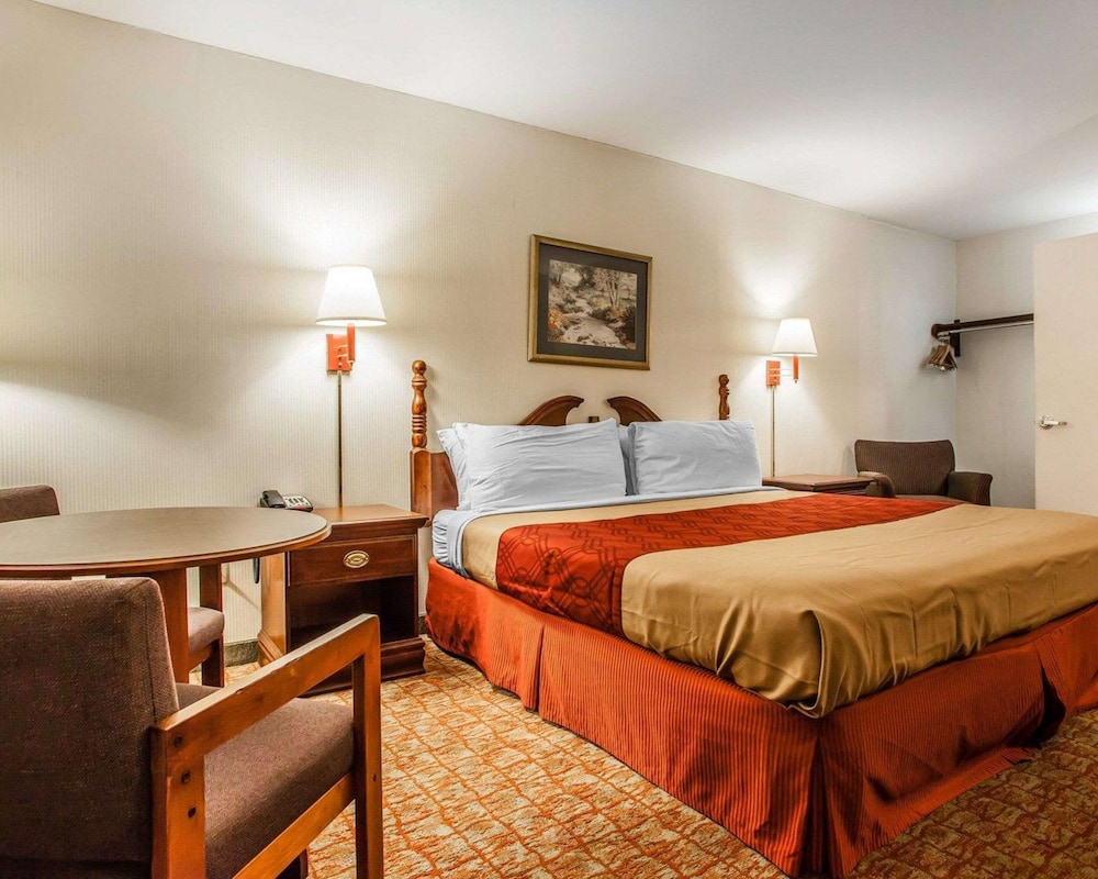 Standard Room, 1 King Bed, Non Smoking - Photo 1