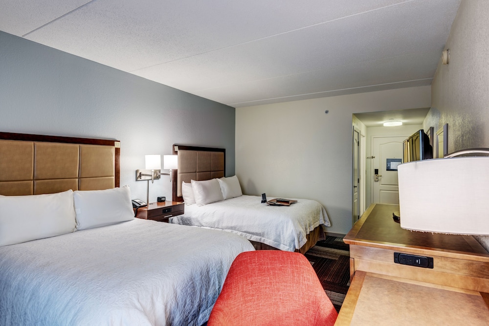 Standard 2 Double Beds photo 2