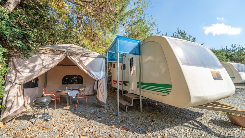 Basic Room, 1 Bedroom (Caravan3(Private BBQ))