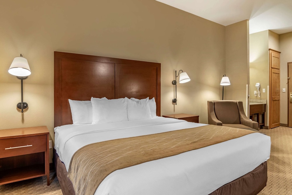 Standard Room, 1 King Bed with Sofa bed, Non Smoking - Photo 2