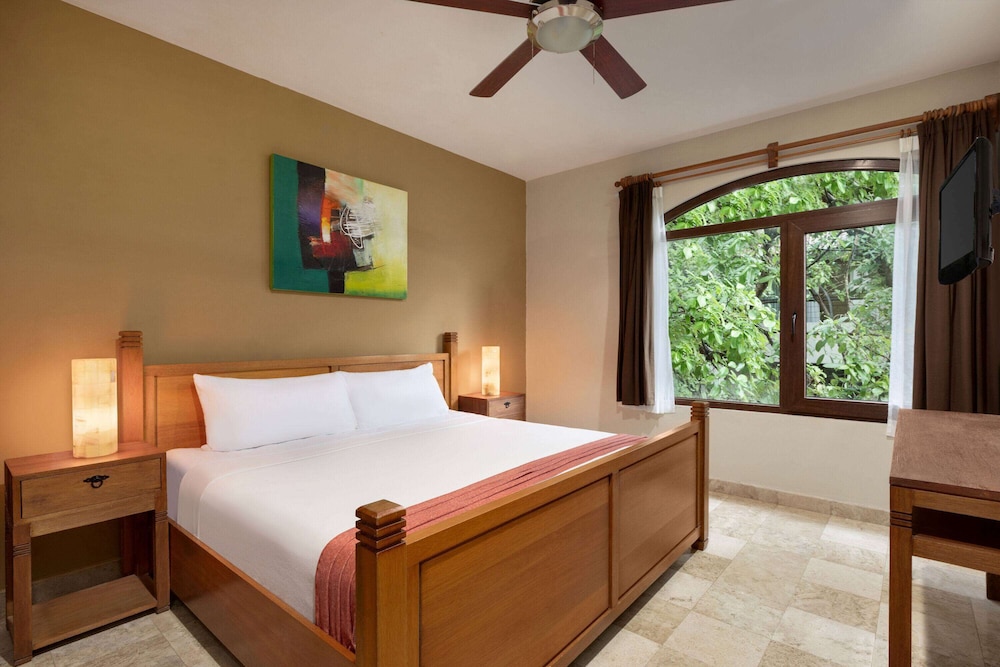 Suite, 2 Bedrooms - Photo 9