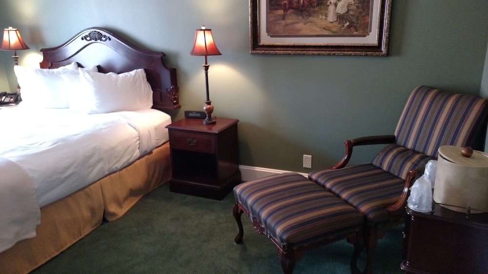 Standard Studio Suite, 1 Queen Bed photo 1