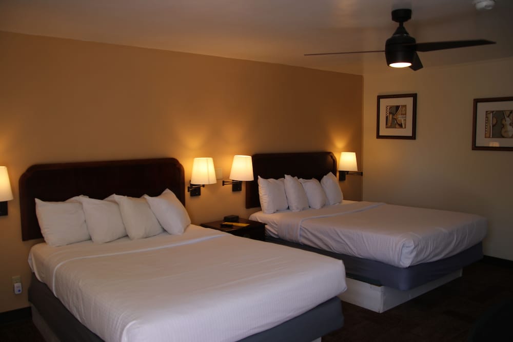 Comfort Double Room photo 3