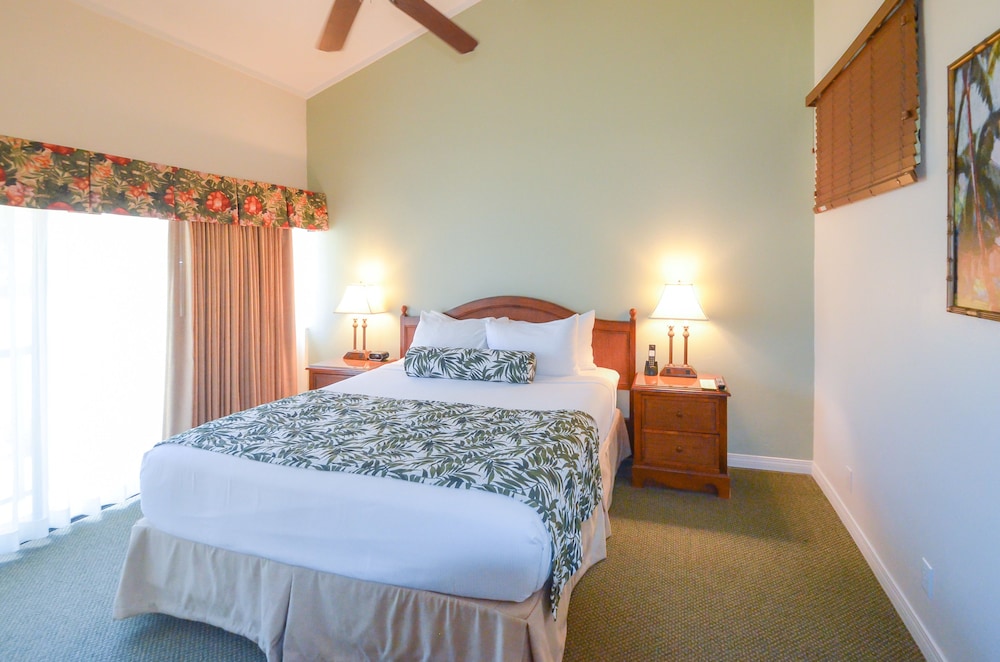 Suite, 1 Bedroom - Photo 4
