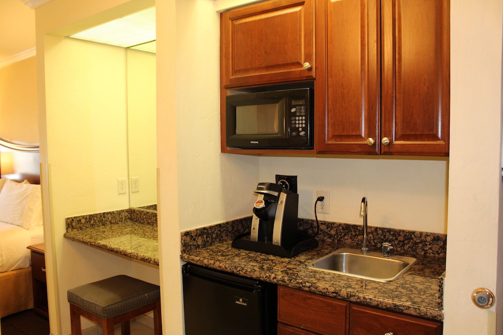 Suite, 1 Bedroom, Jetted Tub - Photo 6
