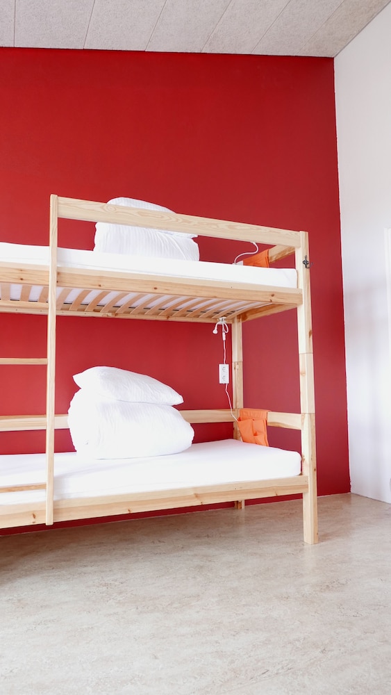 Shared Dormitory photo 2