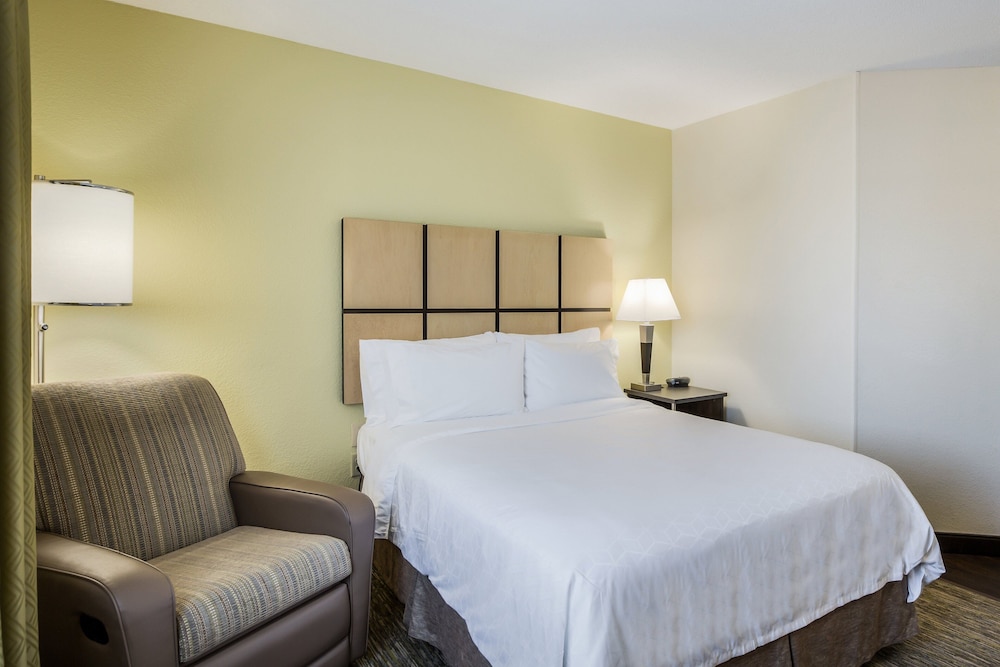 Studio Suite, 1 Queen Bed, Kitchen - Photo 8