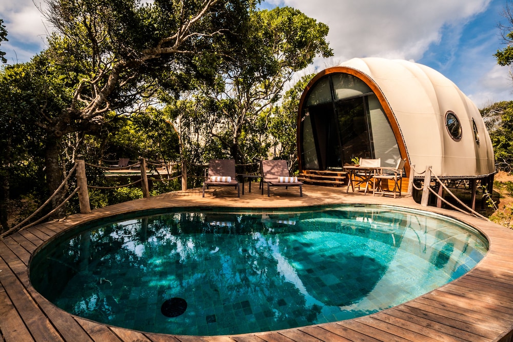 Cocoon Pool Suite with One Free Game Drive