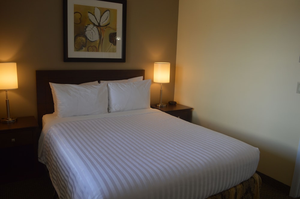 Premium 2 Queen Family Suite photo 2