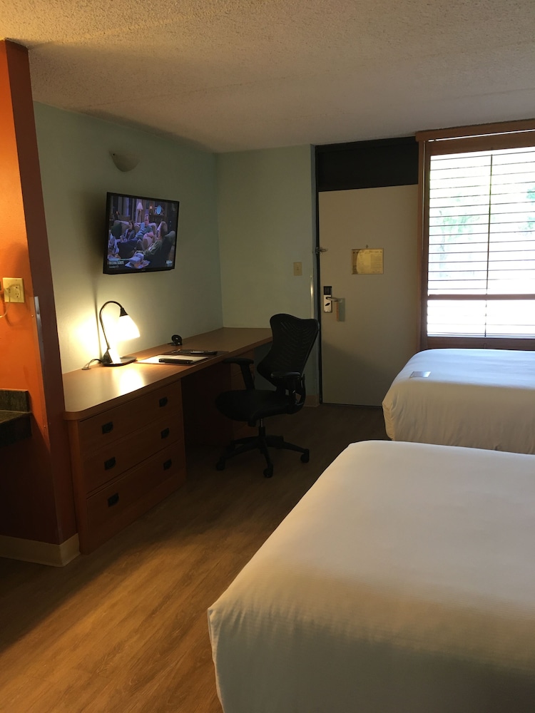 Suite, 2 Double Beds - Photo 1