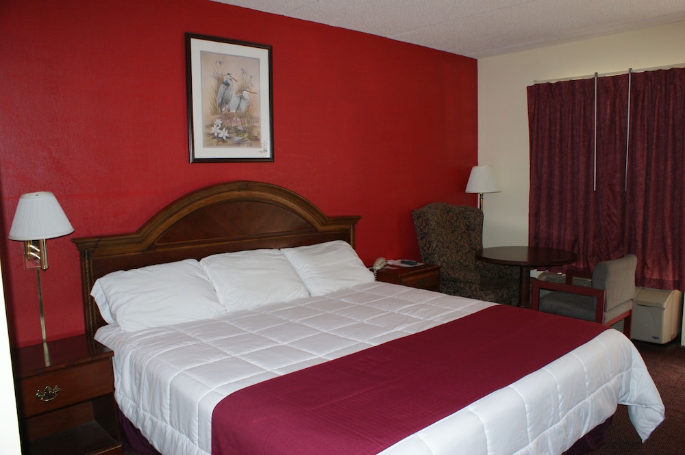 Single King Room, Non Smoking photo 1