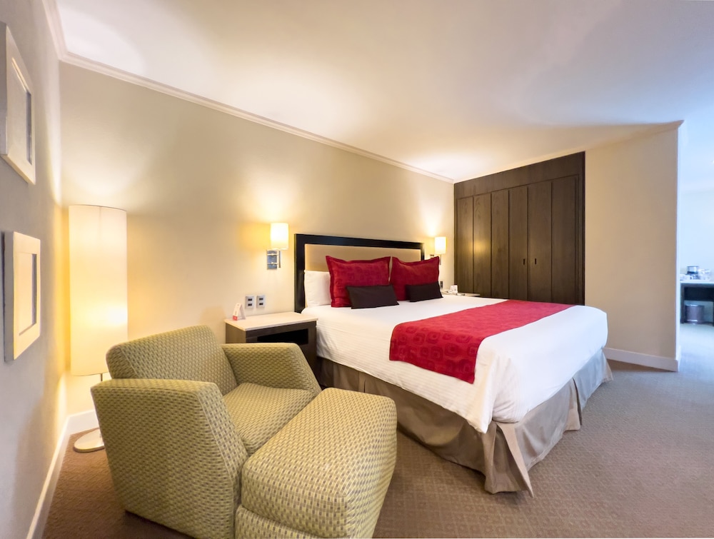 Suite, 1 King Bed photo 3