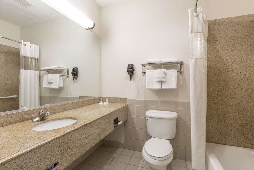 Suite - Photo 7