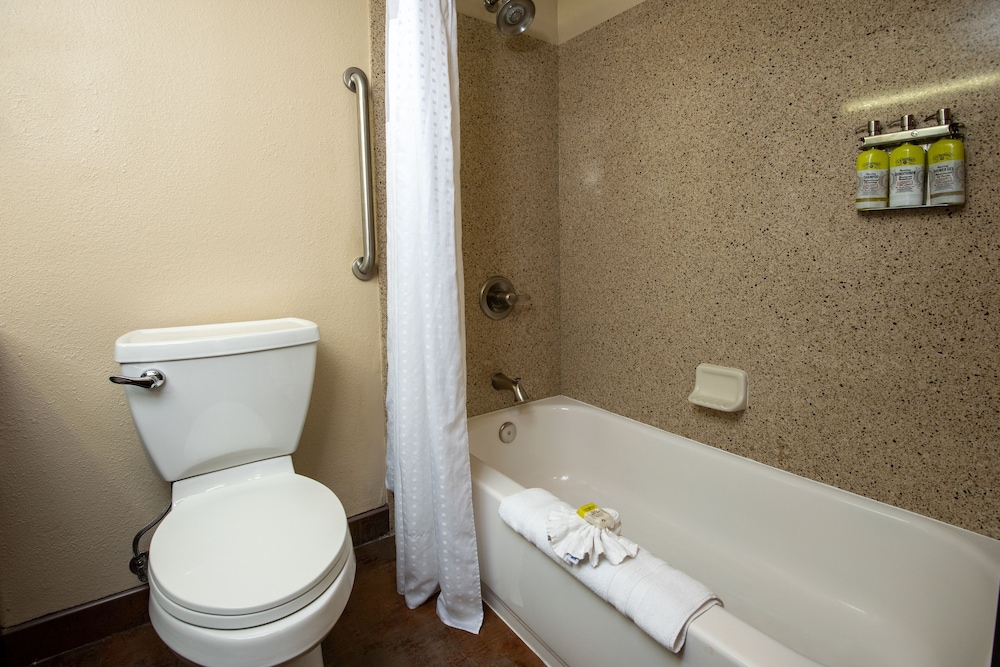 Suite, 1 King Bed (Adults Only) - Photo 3