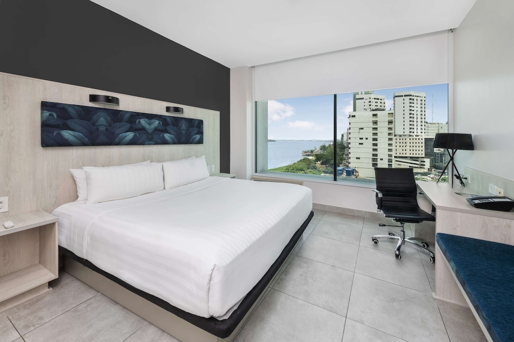 Suite, 1 King Bed photo 1