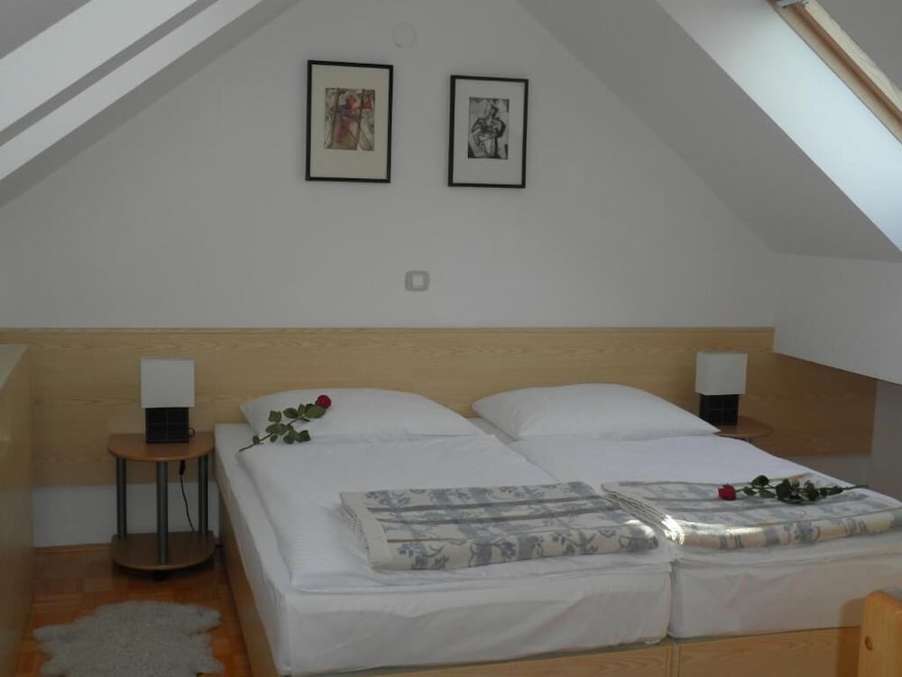 Comfort Apartment photo 2