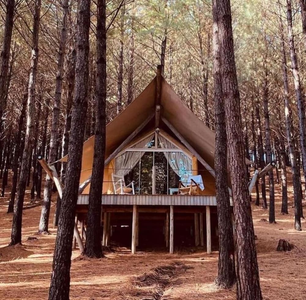 Deluxe Cabin, Partial Lake View - Photo 2