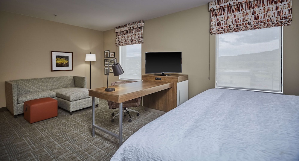 Suite, 1 King Bed, Accessible (Hearing) photo 3