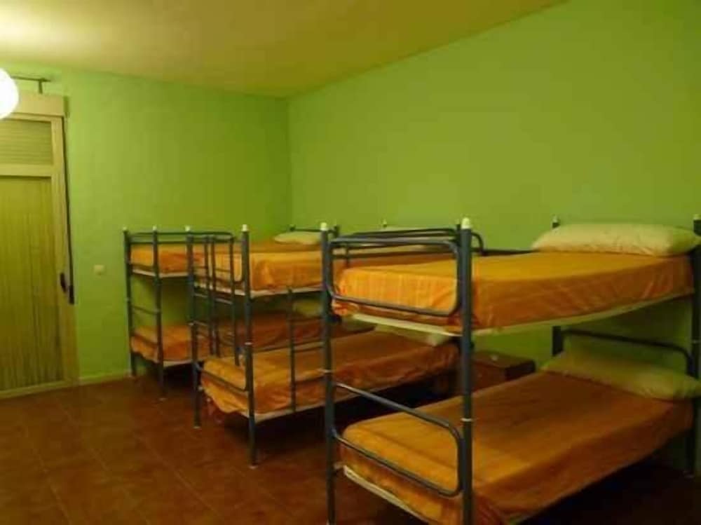 Shared Dormitory (Naranja)