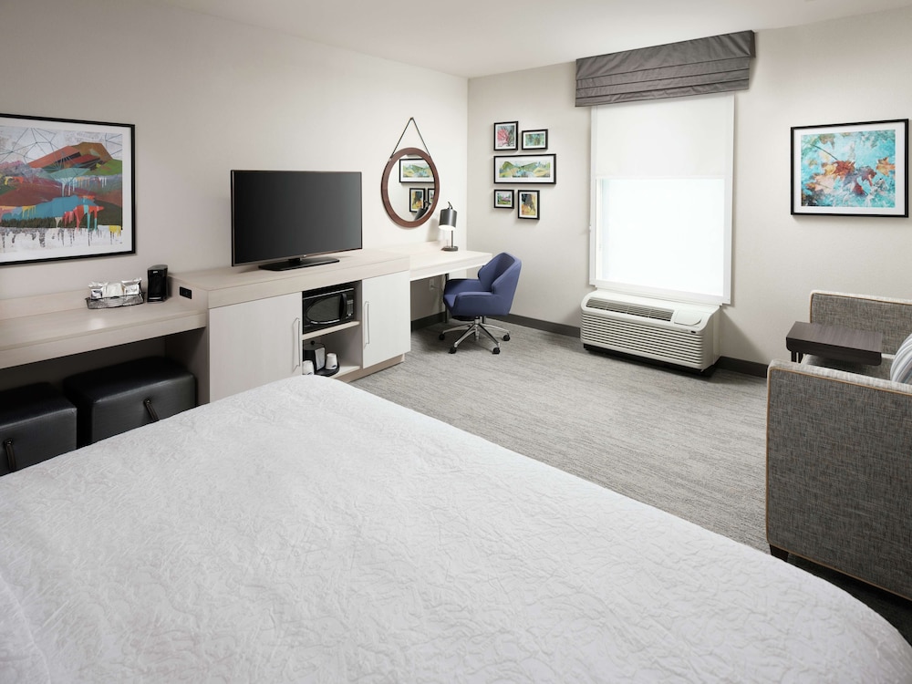 Family Room, 1 King Bed (with Sofa) photo 1