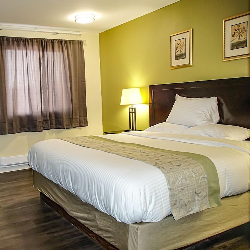 Premium Single Room photo 1