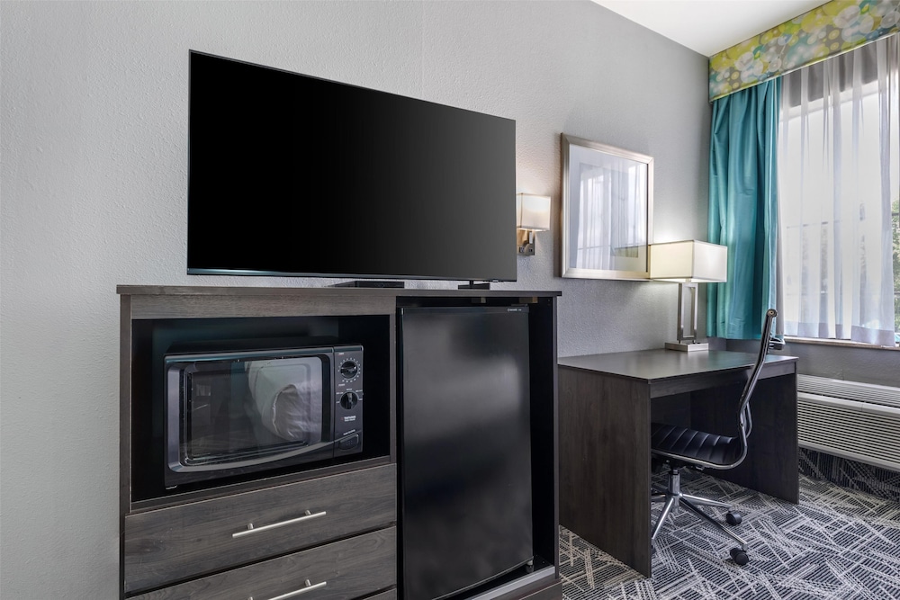 Standard Room, 1 King Bed, Accessible, Refrigerator & Microwave - Photo 3