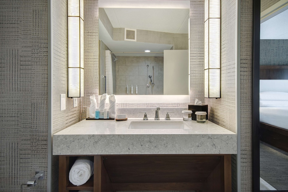 Suite, 1 King Bed, Accessible (Roll-In Shower) photo 1